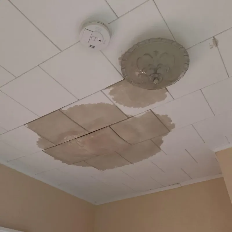 Ceiling Water Damage Repair in Brocton, NY