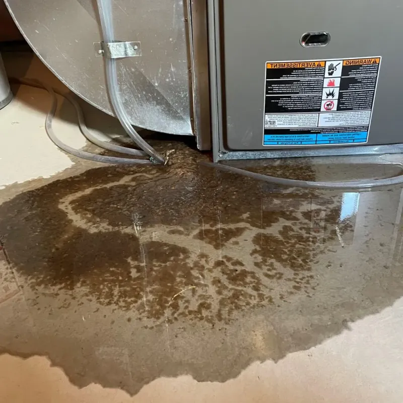 Pipe Burst and Leak Restoration in Brocton, NY